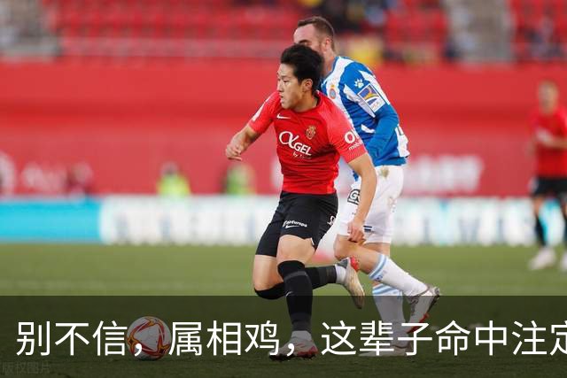 别不信，属相鸡，这辈子命中注定的伴侣，很多是这4个样子