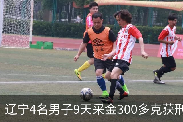 辽宁4名男子9天采金300多克获刑，村里砂土为何能淘金？土法筛金对人体和环境有何危害？